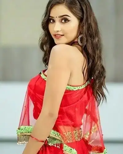 Call Girls Service Gunnaur